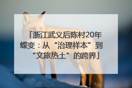浙江武义后陈村20年蝶变：从“治理样本”到“文旅热土”的跨界
