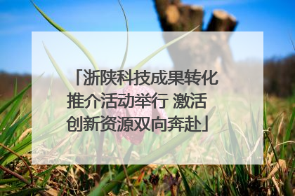 浙陕科技成果转化推介活动举行 激活创新资源双向奔赴