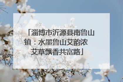 淄博市沂源县南鲁山镇：水墨鲁山艾韵浓 艾草飘香共富路