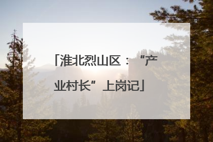 淮北烈山区：“产业村长”上岗记