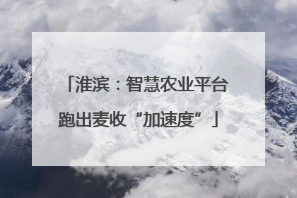 淮滨：智慧农业平台跑出麦收“加速度”