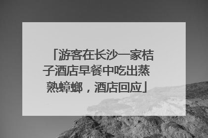 游客在长沙一家桔子酒店早餐中吃出蒸熟蟑螂，酒店回应