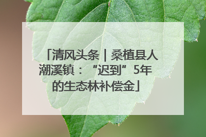 清风头条｜桑植县人潮溪镇：“迟到”5年的生态林补偿金