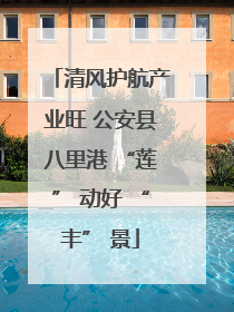 清风护航产业旺 公安县八里港 “莲” 动好 “丰” 景