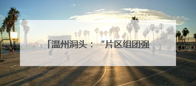 温州洞头：“片区组团强村发展”探索共富新路