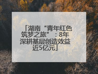 湖南“青年红色筑梦之旅”：8年深耕基层创造效益近5亿元