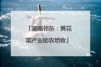 湖南祁东：黄花菜产业助农增收