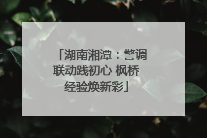 湖南湘潭：警调联动践初心 枫桥经验焕新彩