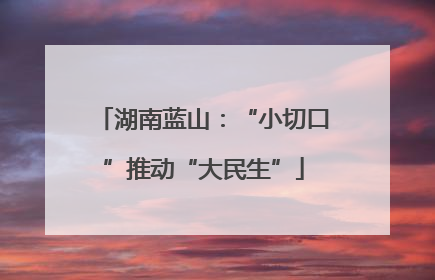 湖南蓝山：“小切口”推动“大民生”