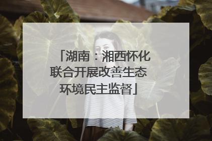 湖南：湘西怀化联合开展改善生态环境民主监督