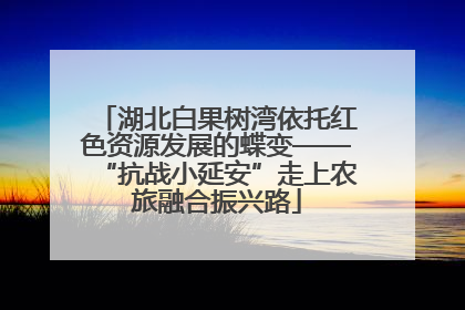湖北白果树湾依托红色资源发展的蝶变——“抗战小延安”走上农旅融合振兴路