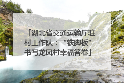 湖北省交通运输厅驻村工作队：“铁脚板”书写龙凤村幸福答卷