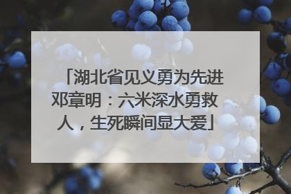 湖北省见义勇为先进邓章明：六米深水勇救人，生死瞬间显大爱