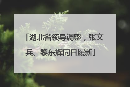 湖北省领导调整，张文兵、黎东辉同日履新