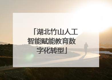 湖北竹山人工智能赋能教育数字化转型