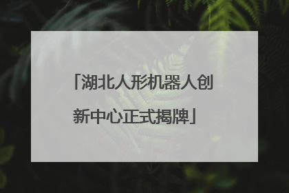 湖北人形机器人创新中心正式揭牌