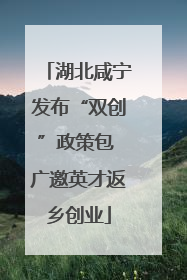 湖北咸宁发布“双创”政策包 广邀英才返乡创业