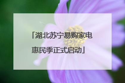 湖北苏宁易购家电惠民季正式启动