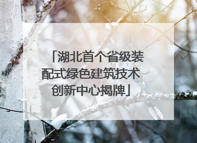 湖北首个省级装配式绿色建筑技术创新中心揭牌