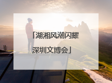 湖湘风潮闪耀深圳文博会