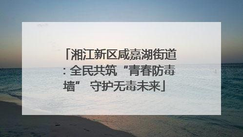 湘江新区咸嘉湖街道：全民共筑“青春防毒墙” 守护无毒未来