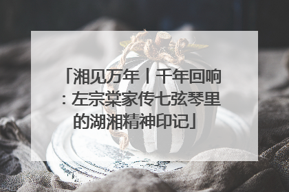 湘见万年丨千年回响：左宗棠家传七弦琴里的湖湘精神印记