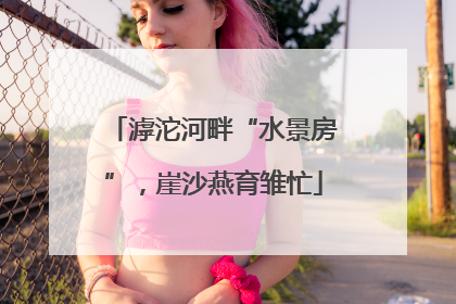 滹沱河畔“水景房”，崖沙燕育雏忙