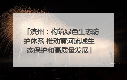 滨州：构筑绿色生态防护体系 推动黄河流域生态保护和高质量发展