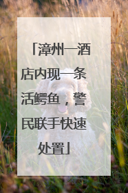 漳州一酒店内现一条活鳄鱼，警民联手快速处置