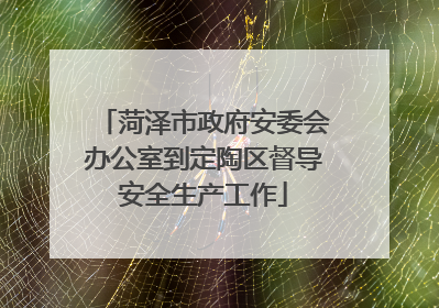 菏泽市政府安委会办公室到定陶区督导安全生产工作