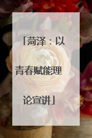 菏泽：以青春赋能理论宣讲