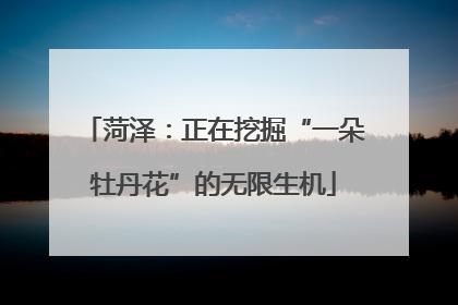 菏泽：正在挖掘“一朵牡丹花”的无限生机