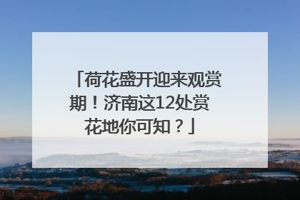 荷花盛开迎来观赏期！济南这12处赏花地你可知？