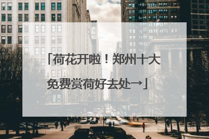 荷花开啦！郑州十大免费赏荷好去处→