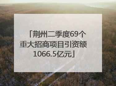 荆州二季度69个重大招商项目引资额1066.5亿元