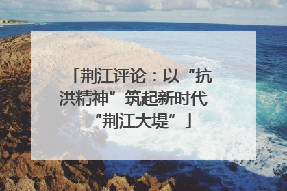 荆江评论：以“抗洪精神”筑起新时代“荆江大堤”