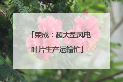 荣成：超大型风电叶片生产运输忙
