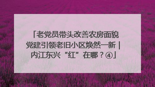 老党员带头改善农房面貌 党建引领老旧小区焕然一新｜内江东兴“红”在哪？④