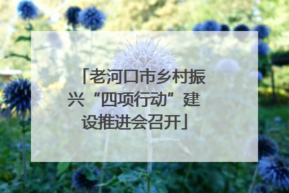 老河口市乡村振兴“四项行动”建设推进会召开