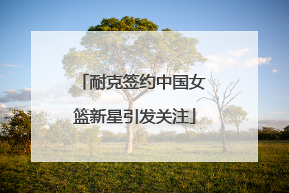 耐克签约中国女篮新星引发关注