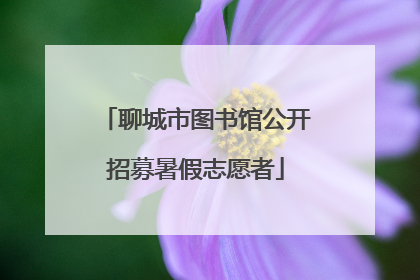 聊城市图书馆公开招募暑假志愿者