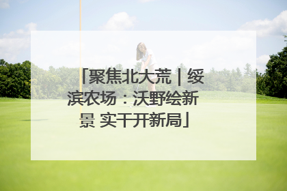 聚焦北大荒｜绥滨农场：沃野绘新景 实干开新局
