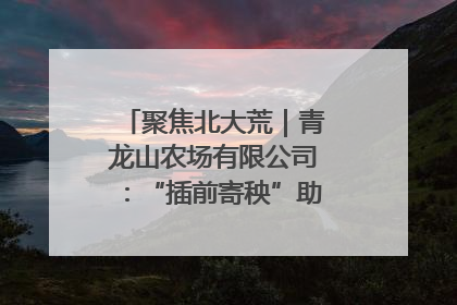 聚焦北大荒｜青龙山农场有限公司：“插前寄秧”助力农业节本增效