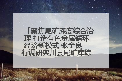 聚焦尾矿深度综合治理 打造有色金属循环经济新模式 张金良一行调研栾川县尾矿库综合治理工作