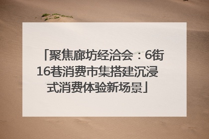 聚焦廊坊经洽会：6街16巷消费市集搭建沉浸式消费体验新场景