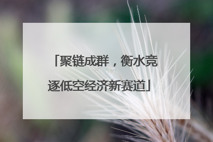 聚链成群，衡水竞逐低空经济新赛道