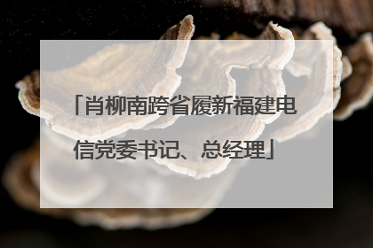 肖柳南跨省履新福建电信党委书记、总经理