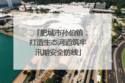 肥城市孙伯镇：打造生态河道筑牢汛期安全防线