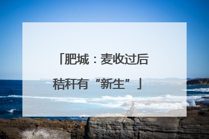 肥城：麦收过后秸秆有“新生”