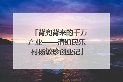 背兜背来的千万产业——清镇民乐村杨敏珍创业记